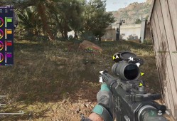 三角洲行动金枝叶外挂